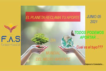 Dia Mundial del Medio Ambiente