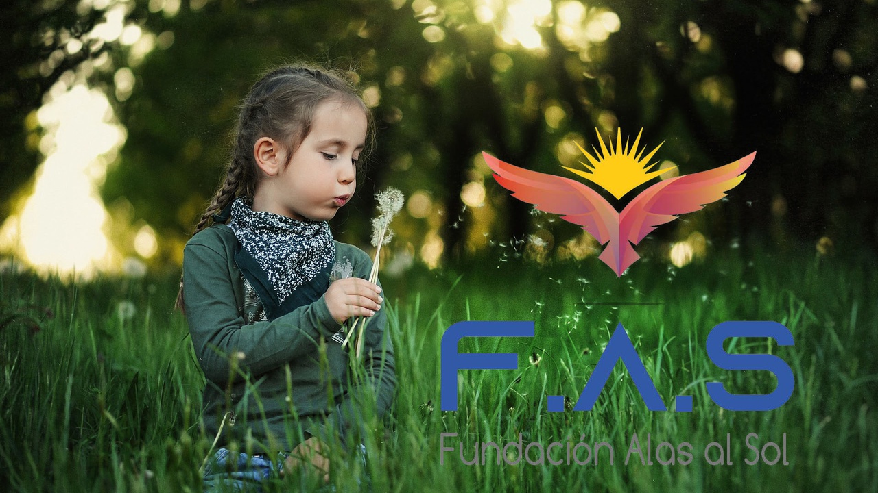 FUNDACIÓN ALAS AL SOL